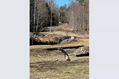 Lot #0 Morgan Bay Road, Surry, ME 04684 - Photo 9