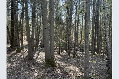 Lot #146 Laurel Shore Drive, Harpswell, ME 04079 - Photo 7