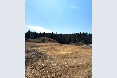 Lot 14 Milk Road, Alfred, ME 04002 - Photo 13
