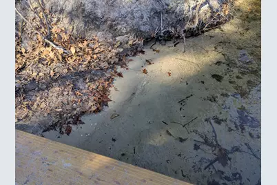 15 Daylilly Lane, Limington, ME 04049 - Photo 61