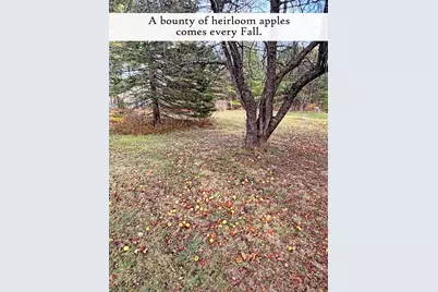 313 East Side Road, Sorrento, ME 04677 - Photo 79