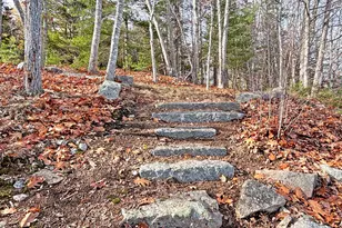 313 East Side Rd, Sorrento, ME 04677 - Photo 85