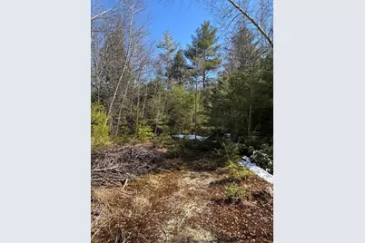 4 Bog Brook Loop, West Paris, ME 04289 - Photo 3