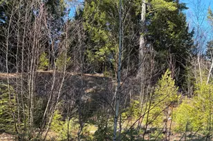 6 Bog Brook Loop, West Paris, ME 04289 - Photo 1