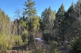 7 Bog Brook Loop, West Paris, ME 04289 - Photo 1