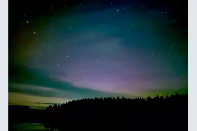 Lot 20-5-1 Collins Cove Road, Machiasport, ME 04655 - Photo 7