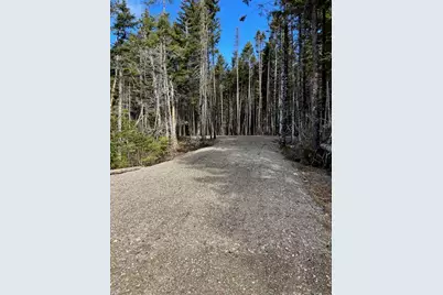 Lot 20-5-1 Collins Cove Road, Machiasport, ME 04655 - Photo 19