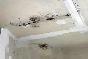 72 Washington St, Eastport, ME 04631 - Photo 21