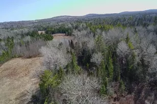 442 W Broadway, Lincoln, ME 04457 - Photo 19