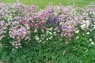 71 Upper-Charleston Rd, Charleston, ME 04422 - Photo 149