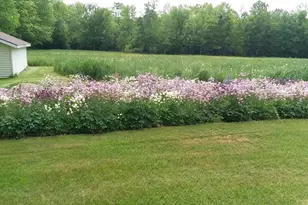 71 Upper-Charleston Rd, Charleston, ME 04422 - Photo 17