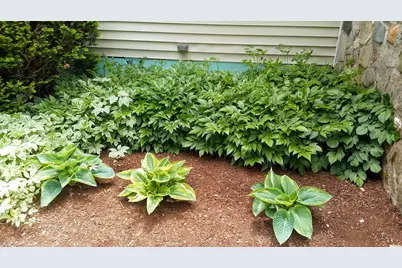 71 Upper-Charleston Road, Charleston, ME 04422 - Photo 143