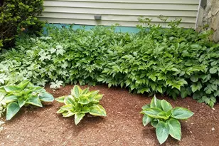 71 Upper-Charleston Rd, Charleston, ME 04422 - Photo 143