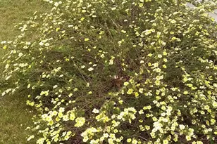 71 Upper-Charleston Rd, Charleston, ME 04422 - Photo 151