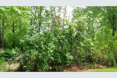 71 Upper-Charleston Road, Charleston, ME 04422 - Photo 125