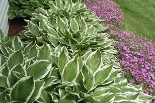 71 Upper-Charleston Rd, Charleston, ME 04422 - Photo 117