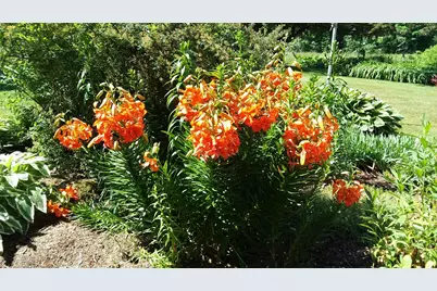 71 Upper-Charleston Road, Charleston, ME 04422 - Photo 181