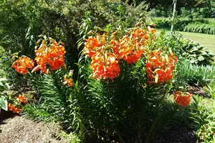 71 Upper-Charleston Rd, Charleston, ME 04422 - Photo 181