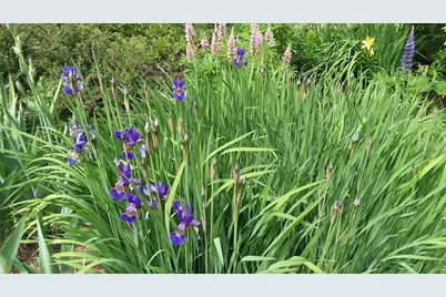 71 Upper-Charleston Road, Charleston, ME 04422 - Photo 129