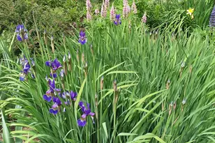 71 Upper-Charleston Rd, Charleston, ME 04422 - Photo 129