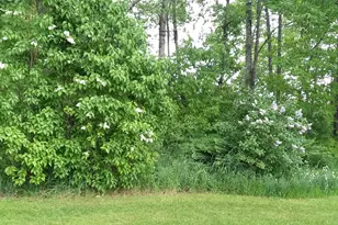 71 Upper-Charleston Rd, Charleston, ME 04422 - Photo 123