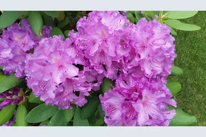 71 Upper-Charleston Road, Charleston, ME 04422 - Photo 161