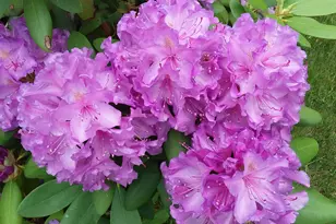 71 Upper-Charleston Rd, Charleston, ME 04422 - Photo 161