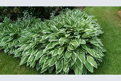 71 Upper-Charleston Road, Charleston, ME 04422 - Photo 145