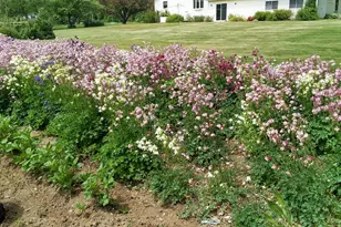 71 Upper-Charleston Rd, Charleston, ME 04422 - Photo 119