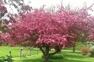 71 Upper-Charleston Rd, Charleston, ME 04422 - Photo 111