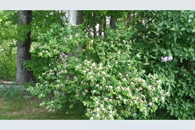 71 Upper-Charleston Road, Charleston, ME 04422 - Photo 121