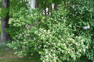 71 Upper-Charleston Rd, Charleston, ME 04422 - Photo 121