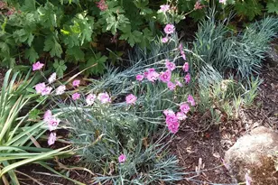 71 Upper-Charleston Rd, Charleston, ME 04422 - Photo 171