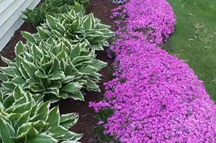 71 Upper-Charleston Rd, Charleston, ME 04422 - Photo 15