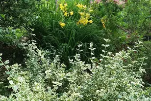 71 Upper-Charleston Rd, Charleston, ME 04422 - Photo 157