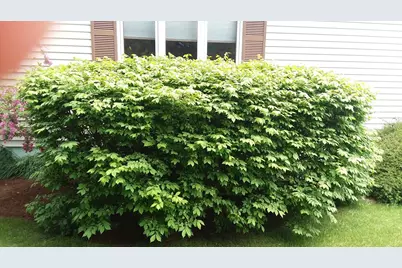 71 Upper-Charleston Road, Charleston, ME 04422 - Photo 137