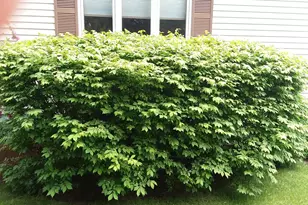 71 Upper-Charleston Rd, Charleston, ME 04422 - Photo 137