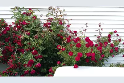 71 Upper-Charleston Road, Charleston, ME 04422 - Photo 179