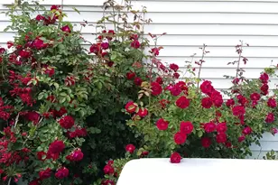 71 Upper-Charleston Rd, Charleston, ME 04422 - Photo 179