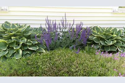 71 Upper-Charleston Road, Charleston, ME 04422 - Photo 163