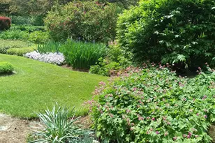 71 Upper-Charleston Rd, Charleston, ME 04422 - Photo 127