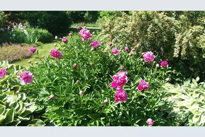 71 Upper-Charleston Road, Charleston, ME 04422 - Photo 169