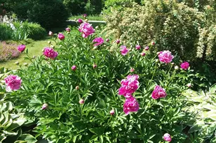 71 Upper-Charleston Rd, Charleston, ME 04422 - Photo 169