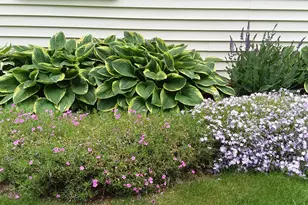 71 Upper-Charleston Rd, Charleston, ME 04422 - Photo 153