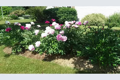 71 Upper-Charleston Road, Charleston, ME 04422 - Photo 165