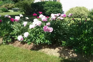 71 Upper-Charleston Rd, Charleston, ME 04422 - Photo 165