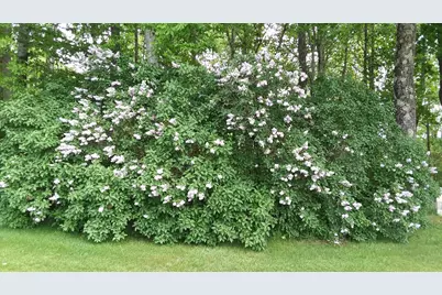 71 Upper-Charleston Road, Charleston, ME 04422 - Photo 21