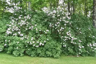 71 Upper-Charleston Rd, Charleston, ME 04422 - Photo 21