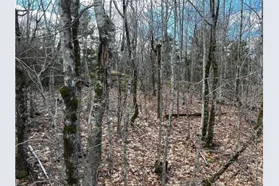 Map8Lot6 Cmp, Prospect, ME 04981 - Photo 43