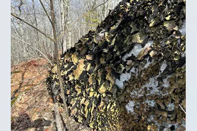 Map8Lot6 Cmp, Prospect, ME 04981 - Photo 25